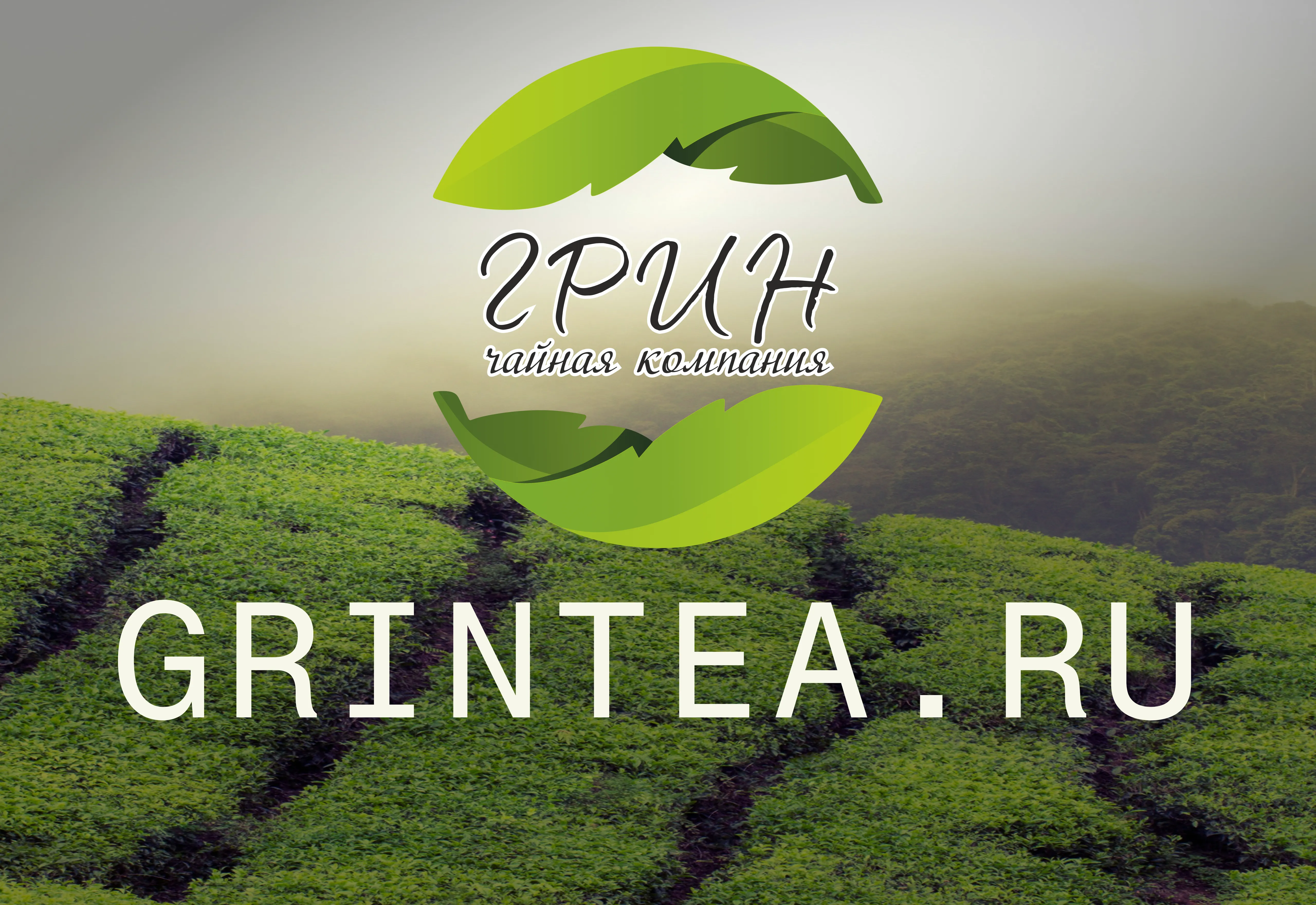 grintea.ru — custom web service banner